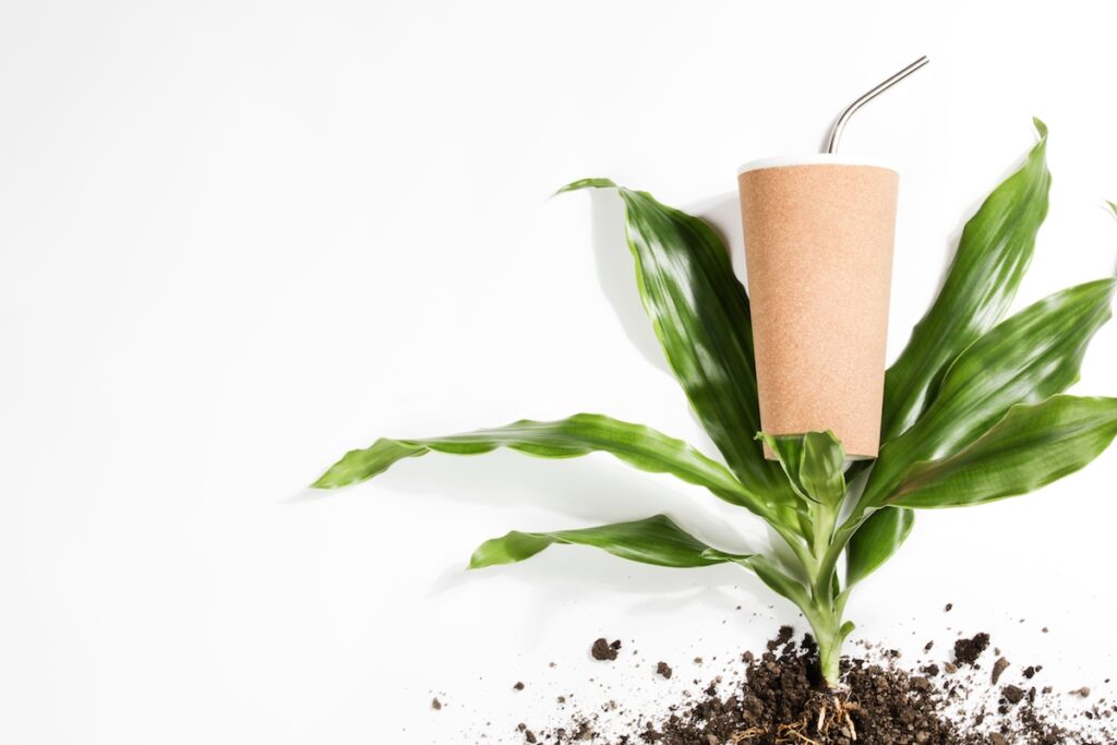reusable-eco-coffee-or-tea-cup-plant-with-roots